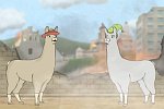 Llamas with Hats 3