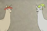 Llamas with Hats 4